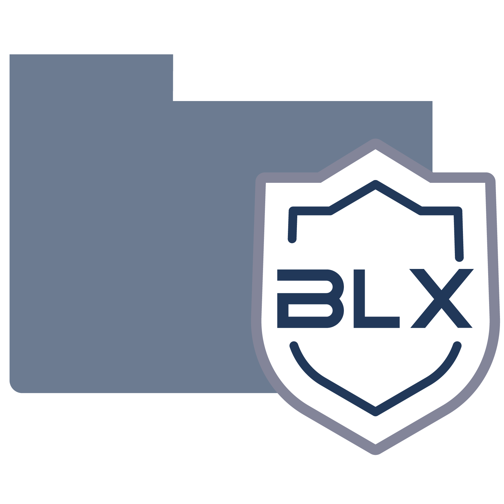 BLX Guard Patrol Monitoring System